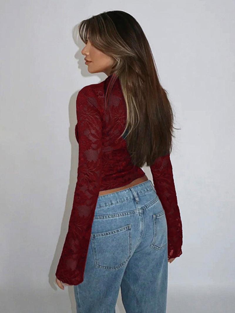 Women's Plain Lace Top, Elegant Long Sleeve V Neck Top for Spring, Women's Clothing for Daily Wear