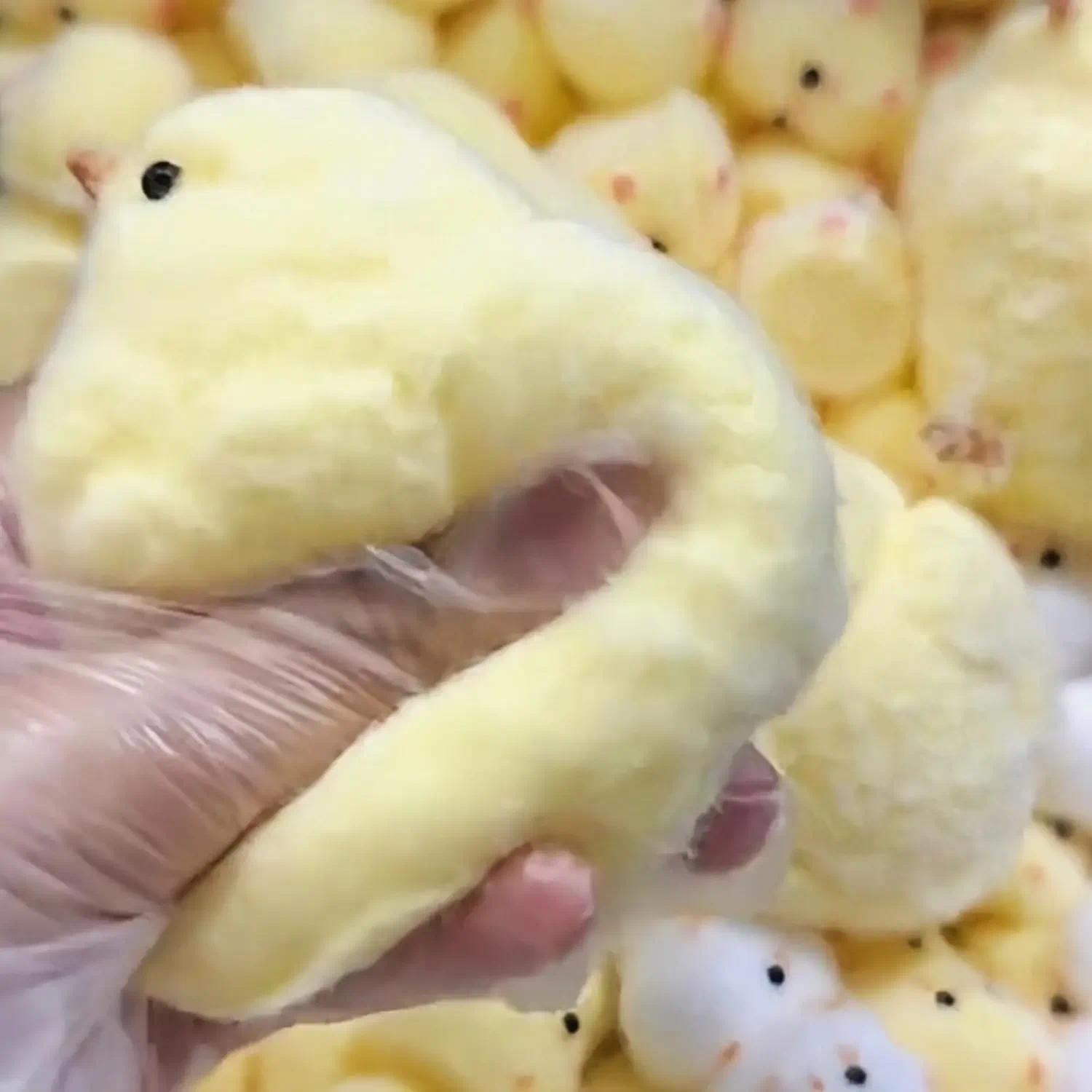 Cute Handmade Chick Squishy Toys Ultra Soft Squishy Fidget Toys Silicone Pinch Entertainment Games for Children Christmas Gifts