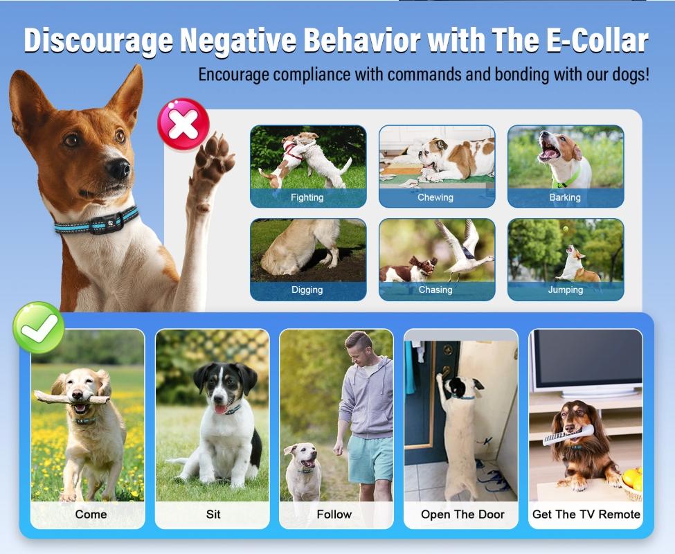 Electronic Dog Training Collar with Remote, Beep Vibration Safe Shock, 3300FT Control Range, Train 2 Dogs Simultaneously, Waterproof Receiver, Long Battery Life for Small to Large Dogs