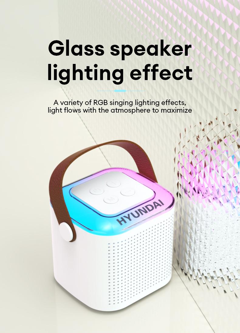 HYUNDAI S13 Portable Wireless Karaoke Bluetooth Speaker With Microphone HIFI Stereo Sound Subwoofers, KTV Speaker Subwoofer With Lighting Effect