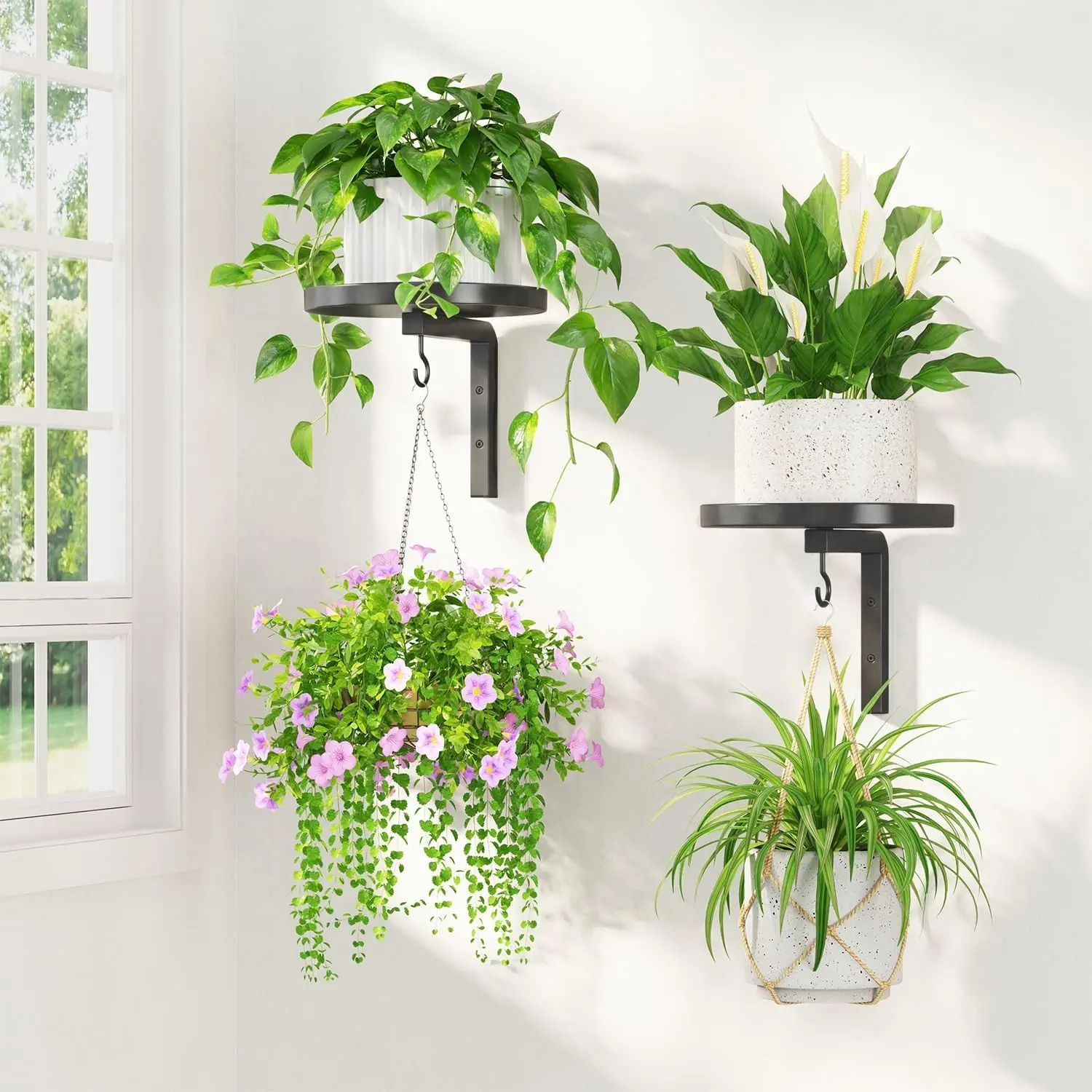 Plant Hangers Holder Wall Mounted Indoor, Metal Window Plant Shelves, 2Pcs Modern Floating Flower Display Stand with 2 Hooks for Outdoor Kitchen Bathroom Decor, Black