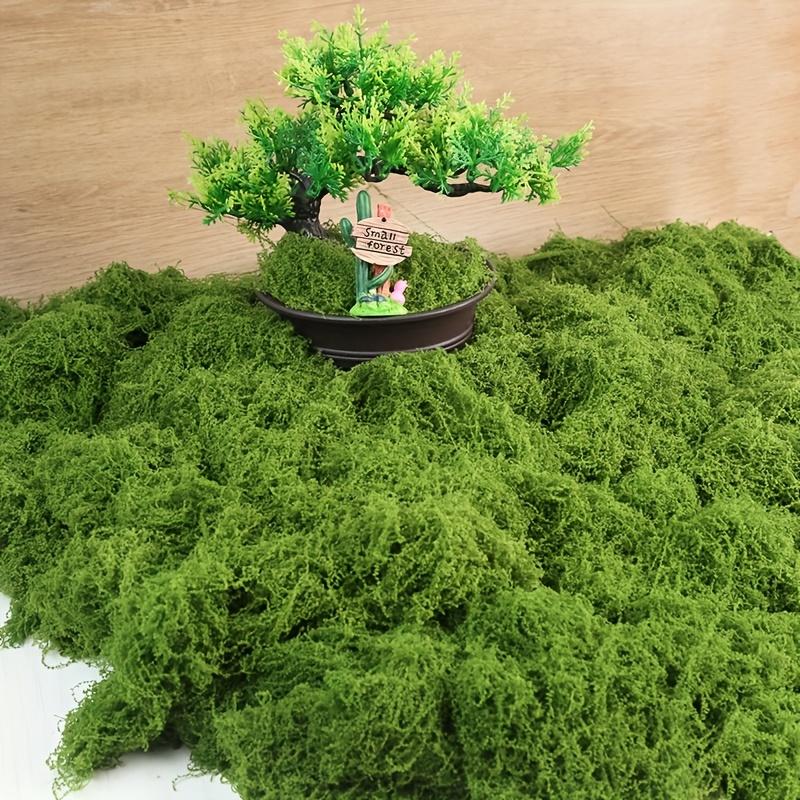 Preserved Sheet Moss, Natural Green Decorative Moss for Plant Walls, Terrariums, Home Decor & Crafts, Long-Lasting No-Water Artificial Moss