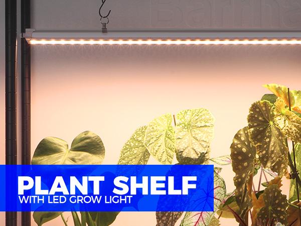 Barrina Greenhouse with Grow Light for Indoor Plant, 6-Tier Plant Shelf with 5Pcs 2FT 30W Full Spectrum Plant Lights, 3 Adjustable Spectrum and Timer, 29x14x71IN Barrina Greenhouse with Grow Light for Indoor Plant, 6-Tier Plant Shelf with 5Pcs 2FT 30W Full Spectrum Plant Lights, 3 Adjustable Spectrum and Timer, 29x14x71IN
