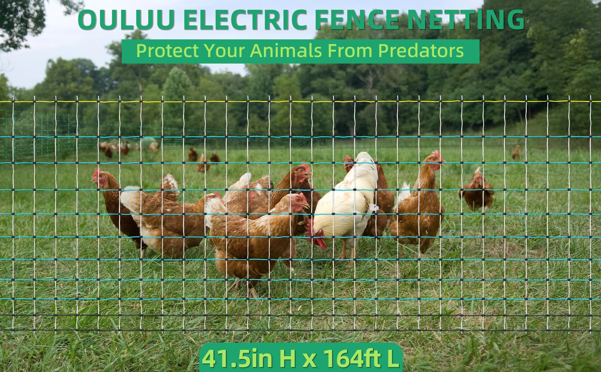 Poultry Netting Electric Fence - 41.5" H x 164' L, Portable Livestock Nets Mesh for Chickens, Ducks, Geese, Turkey, Electric Fencing for Backyards, Homesteaders, Farms, Ranches, Gardens Poultry Netting Electric Fence - 41.5" H x 164' L, Portable Livestock Nets Mesh for Chickens, Ducks, Geese, Turkey, Electric Fencing for Backyards, Homesteaders, Farms, Ranches, Gardens