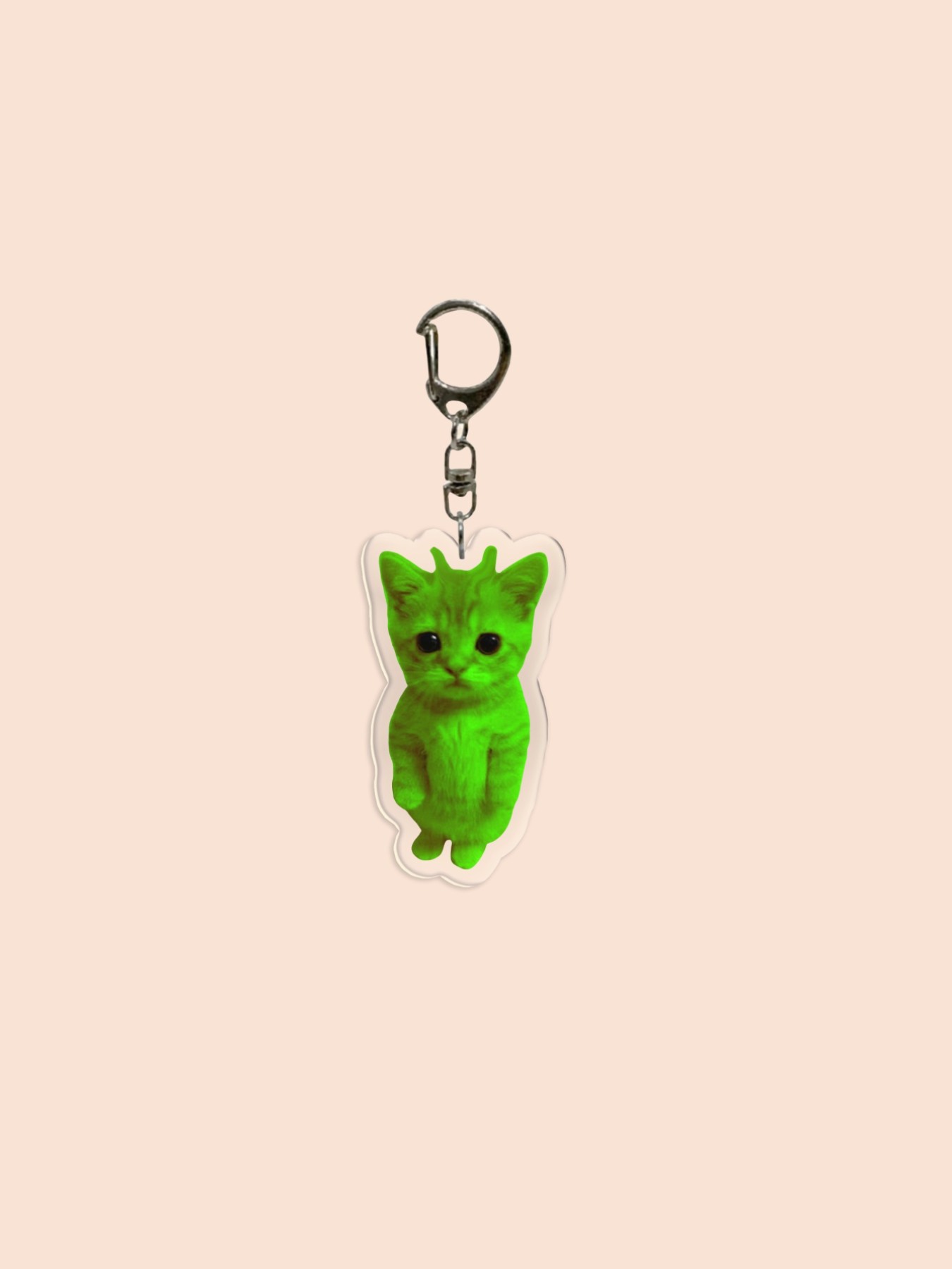 Funny Alien Acrylic Keychain, Face, Alien Cat, Sad Cat Pendant, Backpack Charm, Phone Accessory, Wallet Clip, Friend Gift