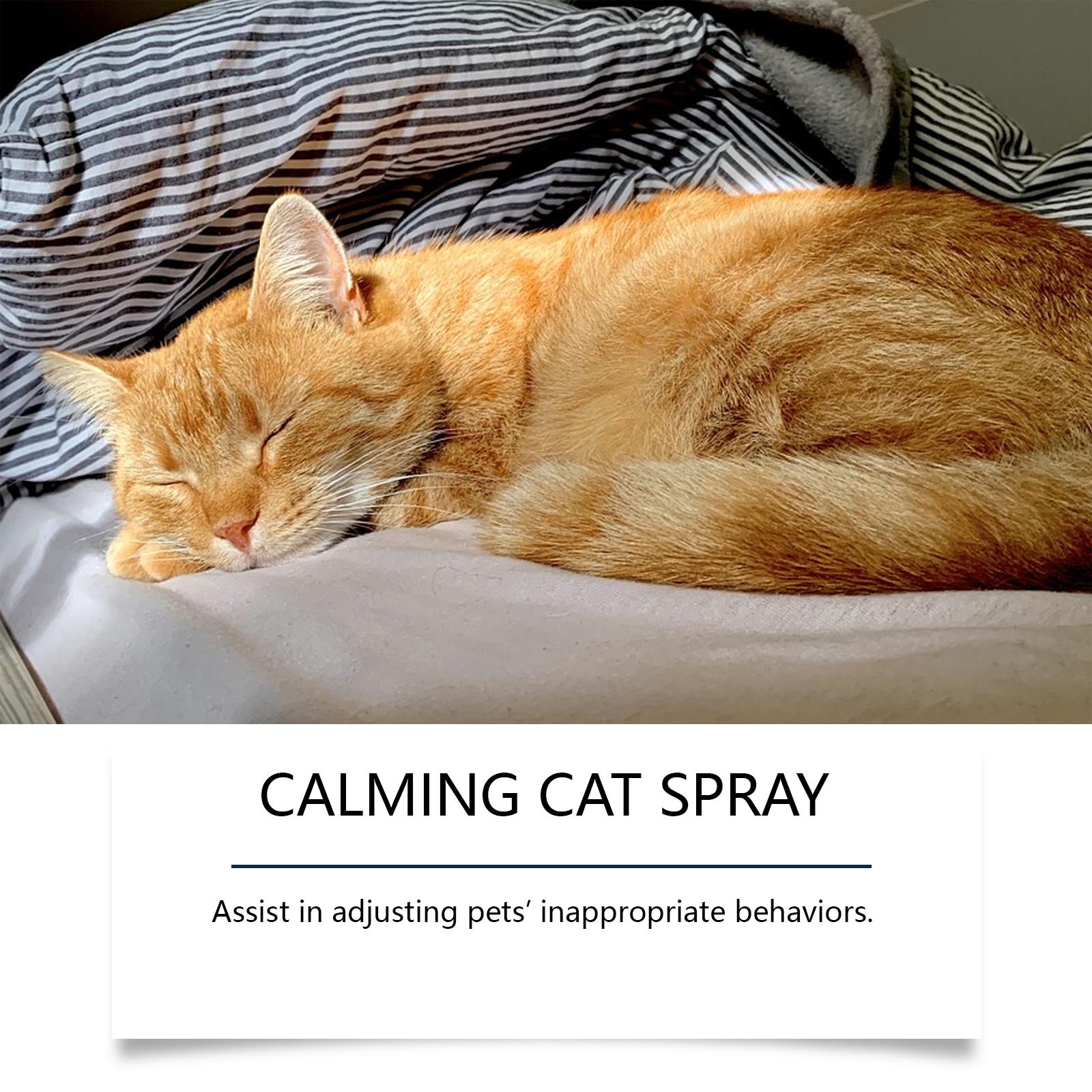 Cat Care Spray for Calming Anxiety, Prevents Scratching and Urinating Issues, Gentle Cat Behavior Management Spray