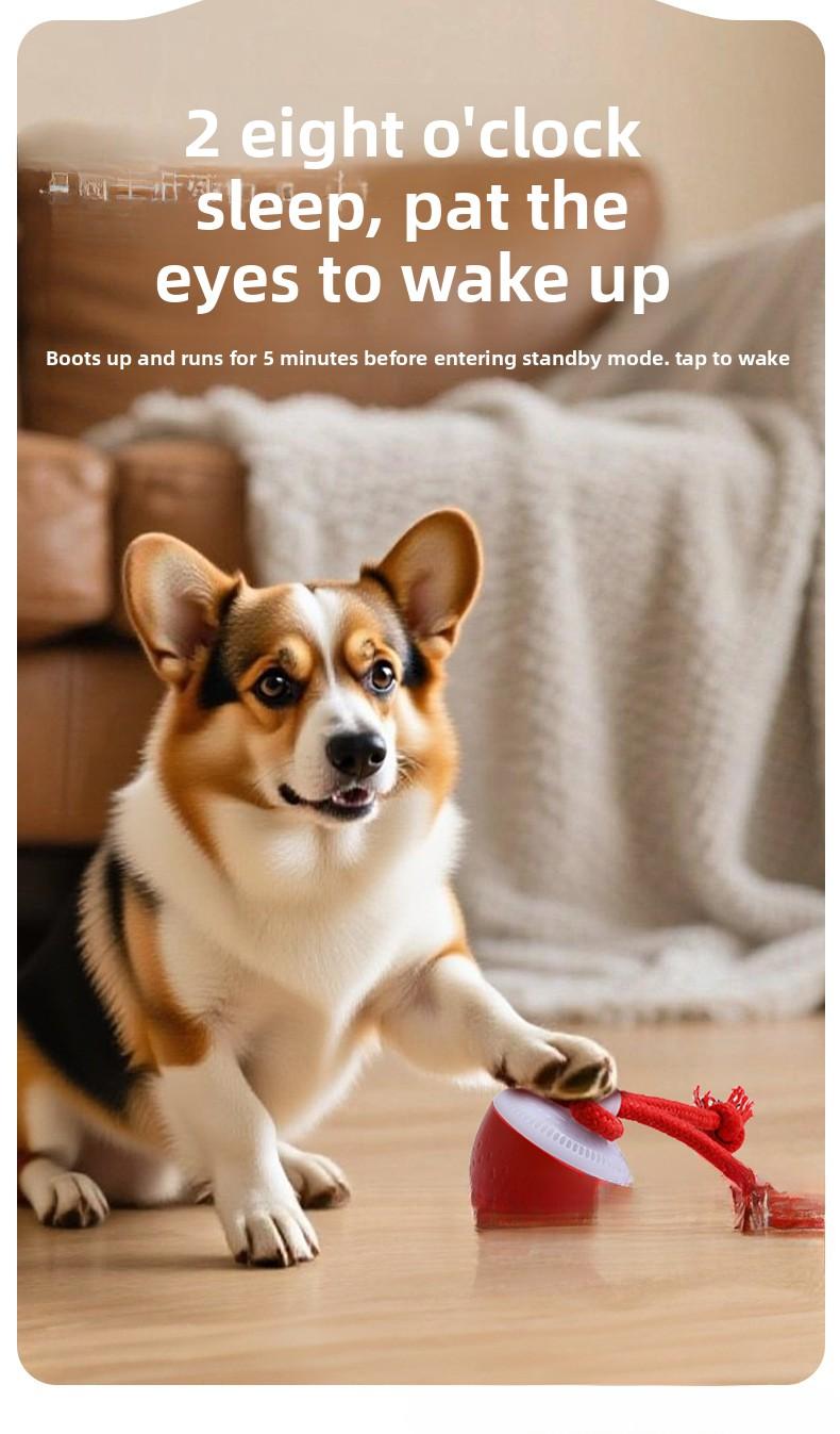 Pet supplies, dog toys, pet toys, electric intelligent pet ball, bouncing ball, self-entertaining dog teasing ball