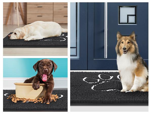 IM HOME Chenille Absorbent Outdoor Doormat, Washable Muddy Door Mats for Dog, Non Slip Dog Mat Pet Mat Indoor Doormat for Muddy Paw, Front Inside Door Mat for Entryway Machine Washable for Dog Mud Entryway Mat IM HOME Chenille Absorbent Outdoor Doormat, Washable Muddy Door Mats for Dog, Non Slip Dog Mat Pet Mat Indoor Doormat for Muddy Paw, Front Inside Door Mat for Entryway Machine Washable for Dog Mud Entryway Mat