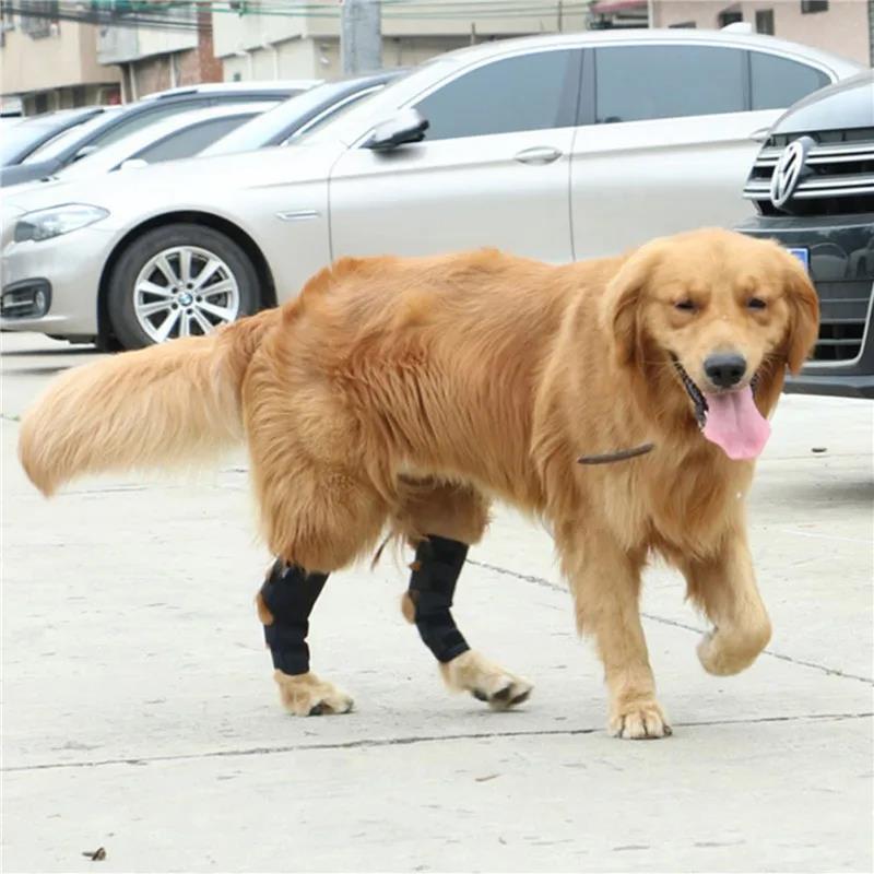 1Pair Pet Knee Support Braces – Hock Joint Wraps For Dog Leg Injury Recovery & Mobility Protection 