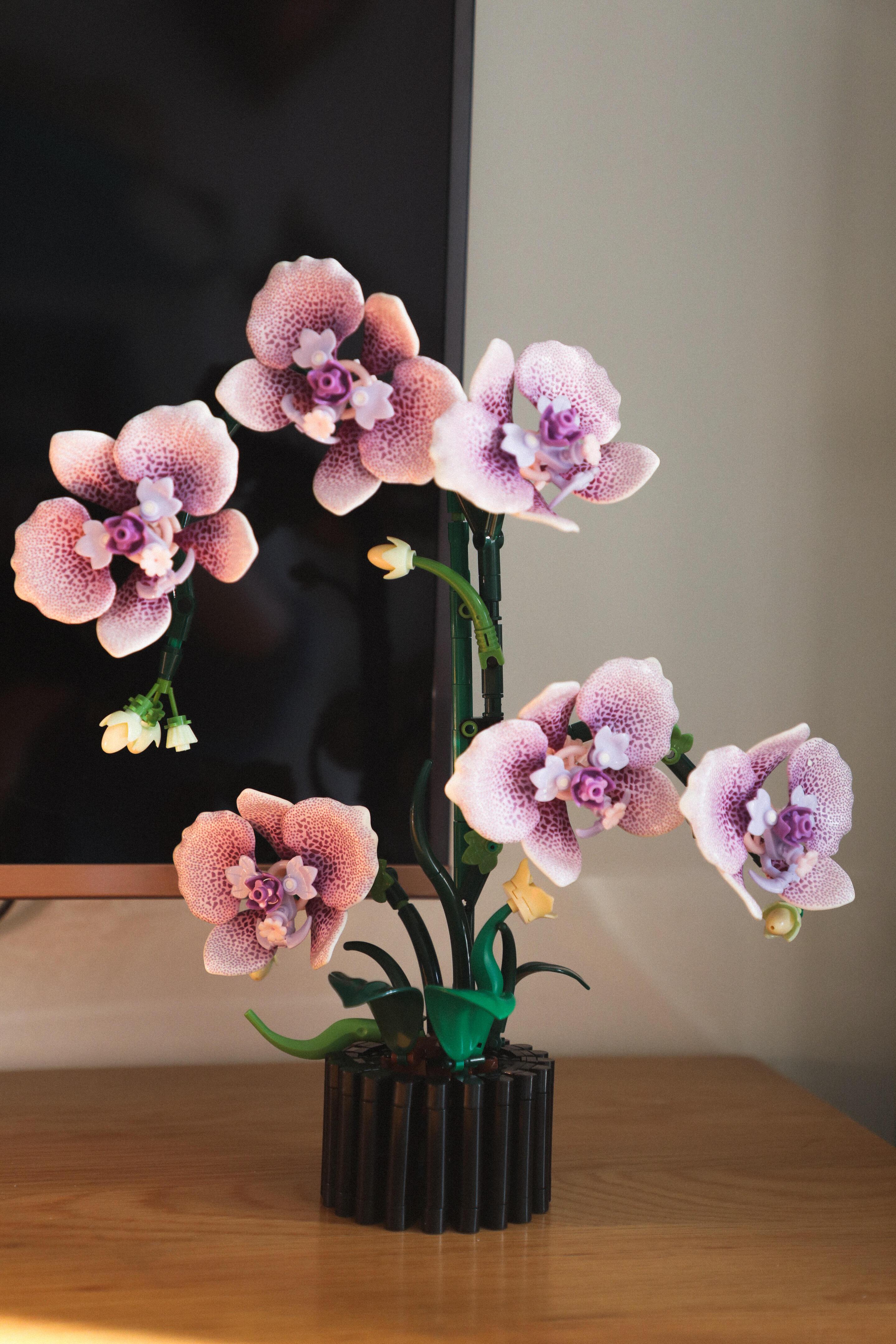 619pcs Orchid Building Block Set, Flexible Petal Joints Adjustable Angles, DIY Orchid Plant Kit, Adult Version, Home Decor Gift