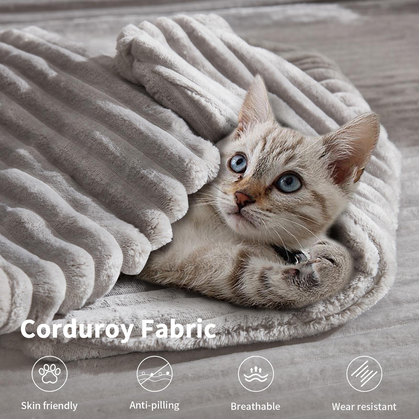 [SpringStatements] EBELLO Boneless Chaise Lounge, Upholstered Sofa Bed with Throw Pillows and Armrests, Indoor Sleeper Chair- Luxurious Plush Corduroy Chair Bed for Living Room - No Assembly Required