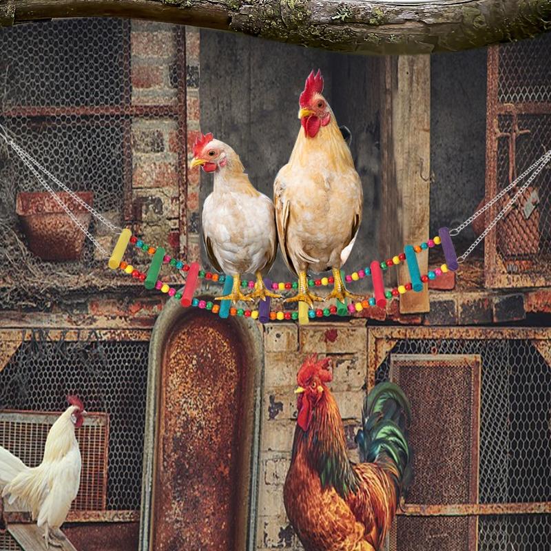 Random Color Chicken Swing & Feeder Net, Chicken Swing & Feeder Net Wood Bird Grinding Teeth Toy, Farm Animal & Poultry Supplies