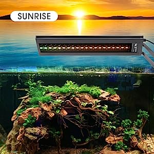 hygger Clip On 24/7 Lighting Aquarium LED Light, 14W Sunrise-Daylight-Moonlight and DIY Mode, Adjustable Timer / Brightness Fish Tank Light with 7 Colors for Planted Tank Aquatic Life Outdoorfun