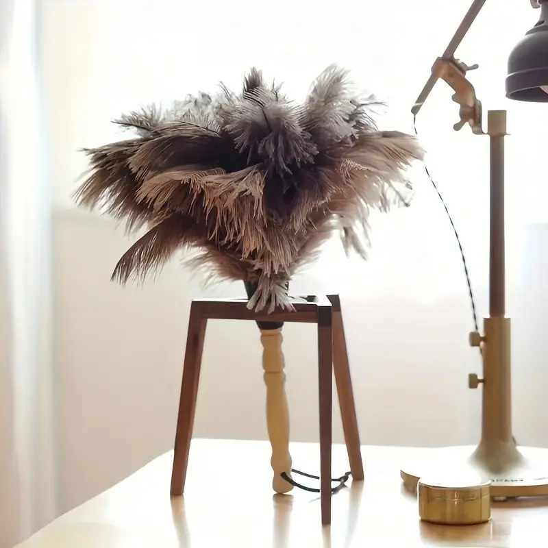 Reusable Ostrich Feather Duster with Wooden Handle, Soft Non-Shedding Dust Cleaner, Multipurpose Duster for Home, Car, and Electronic Devices