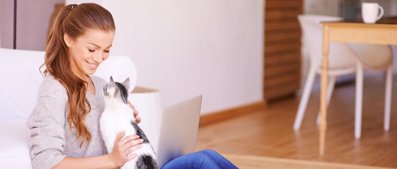 Pawaboo Cat Feather Toys, Interactive Cat Wand Toy with 2-Slot Super Suction Cup, Detachable 2 PCS Spring Cat Wand & 7 PCS Cat Teaser Replacement with Bells, Funny Kitty Toys for Indoor Kittens Play