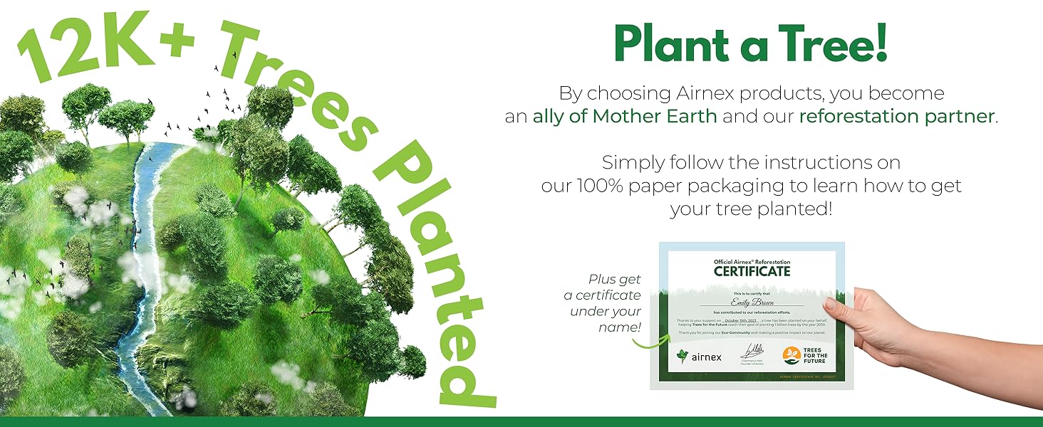 Natural Kitchen Sponges (12 Pack) - Biodegradable Cellulose & Coconut Scrubber Dish Sponges for Kitchen - Eco-Friendly, Non Scratch, Compostable, Non Toxic S-Shaped Natural Sponges for Dishes