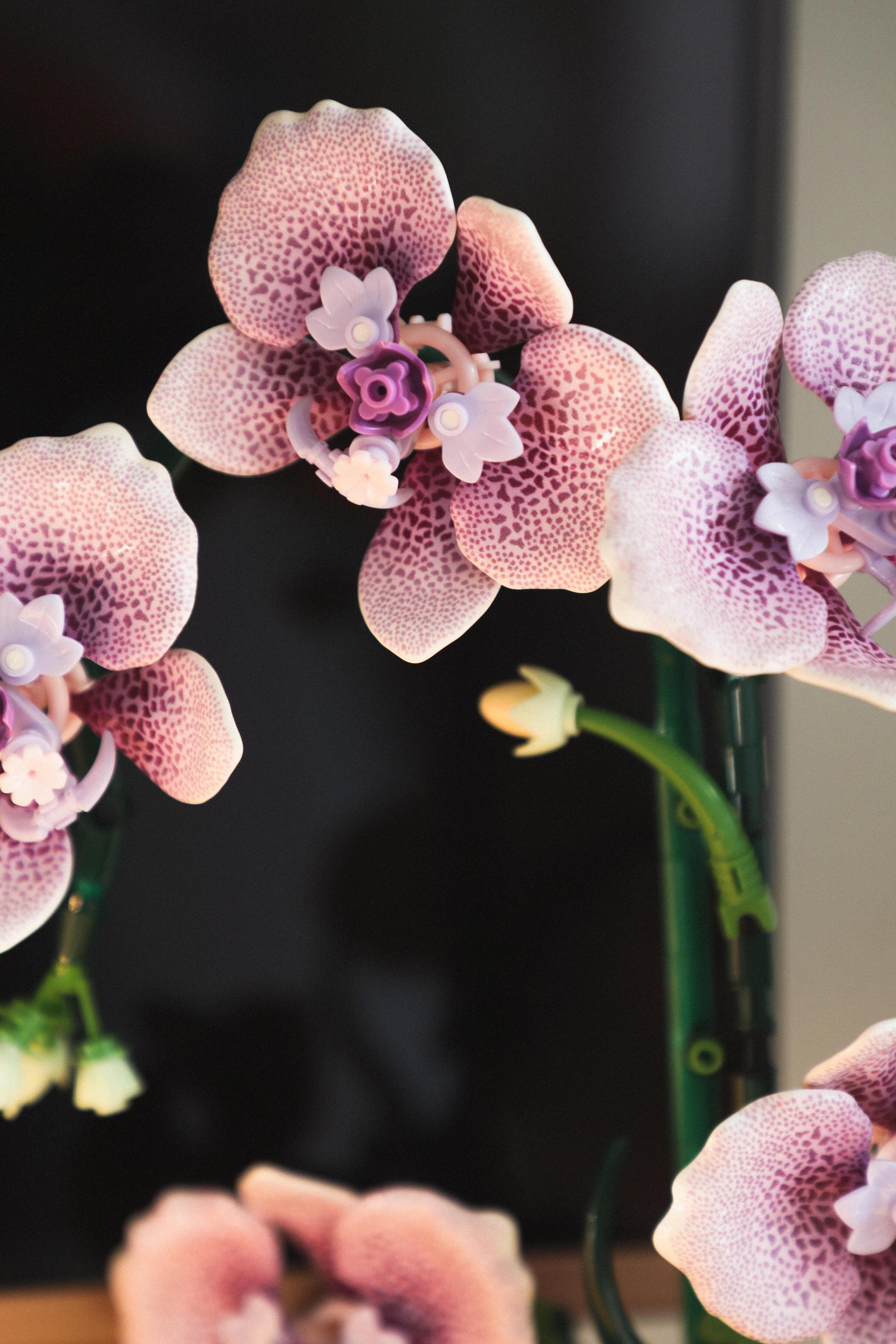 619pcs Orchid Building Block Set, Flexible Petal Joints Adjustable Angles, DIY Orchid Plant Kit, Adult Version, Home Decor Gift