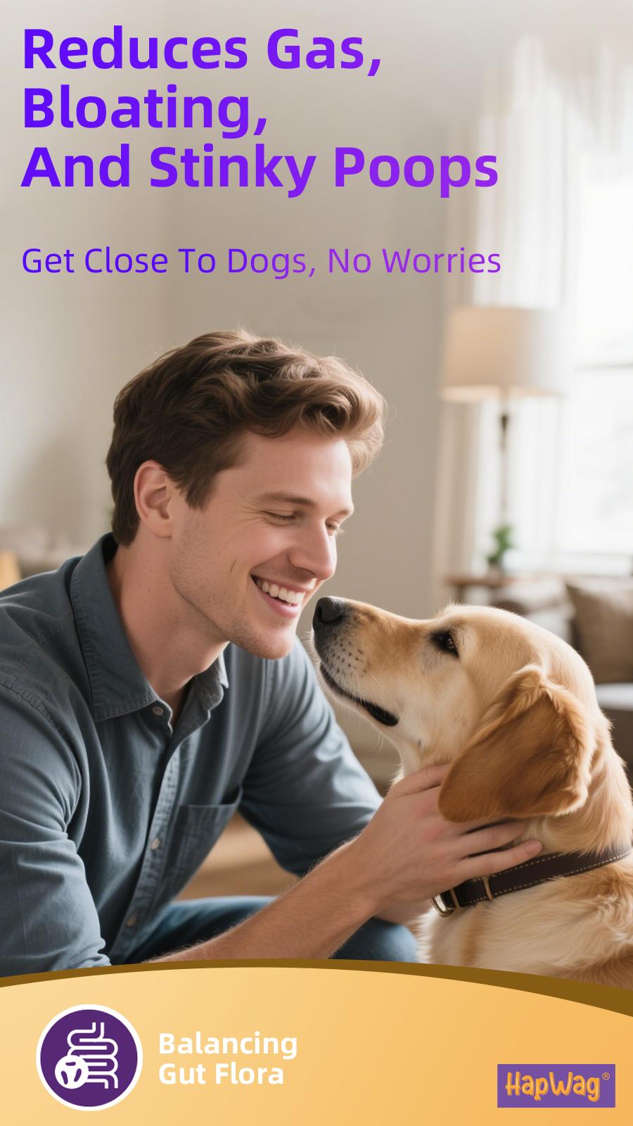 HAPWAG 8-in-1 Multivitamin Soft Chews for Dogs – Probiotics, Gut & Immune Support – Pork Flavor – 90 Treats