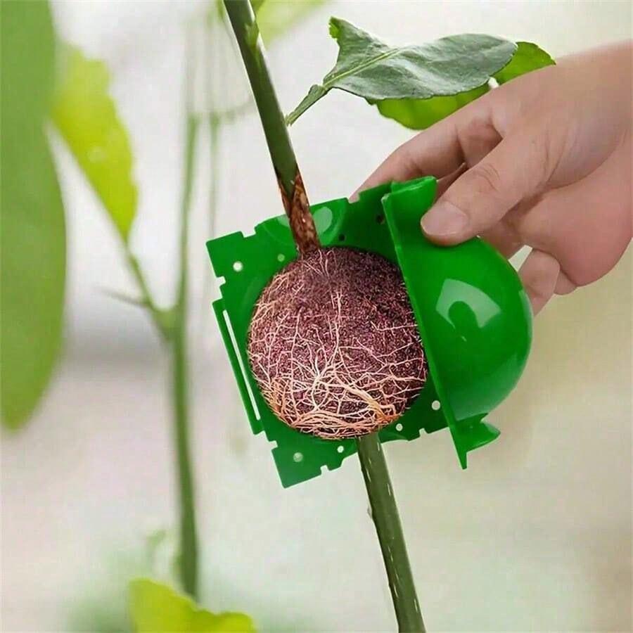Tree Root Planting Box, Root Ball Transplant Tool, Plantroot High-Pressure Grafting and Cutting Device, Ideal for Seedling Propagation