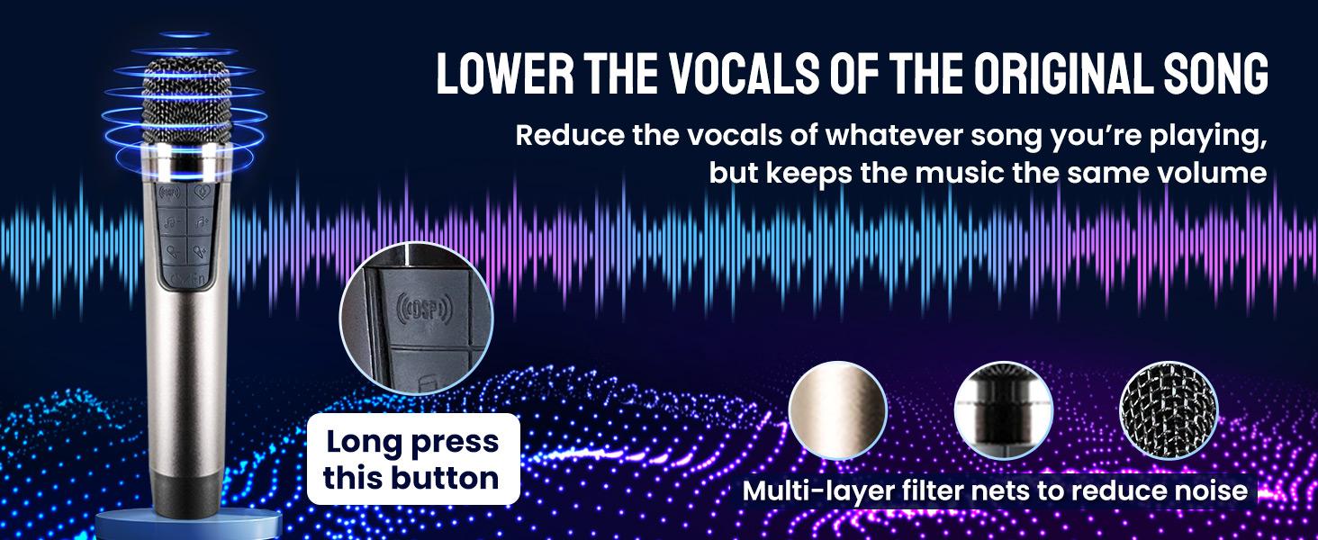 RHM K666 Karaoke Machine, Handheld Bluetooth Speaker Support
