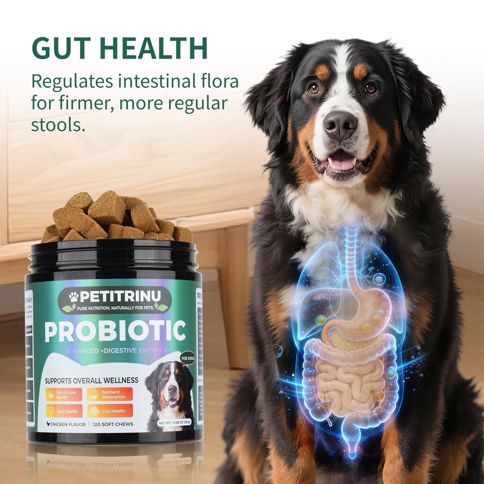 Probiotics for Dogs, All-Natural Gut & Skin Support for Dogs, Support Gut Health, Digestive Health & Seasonal Allergies CHICKEN Flavor 120 Soft Chews