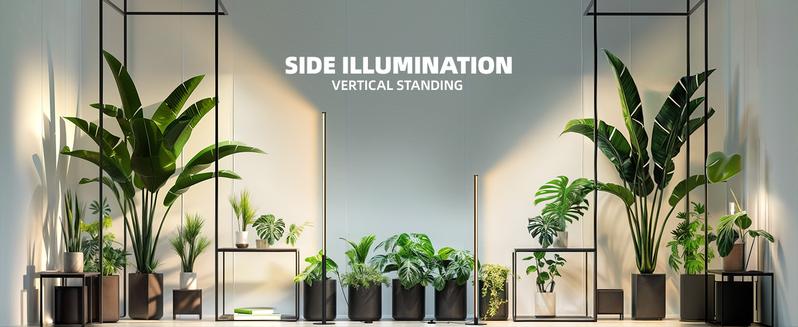 Barrina T10 Pro Standing Grow Light with Timer, 42W, 169 LEDs, Full Spectrum, Vertical Light, Wide Coverage, 4FT to 5.6FT Height with Foot Switch