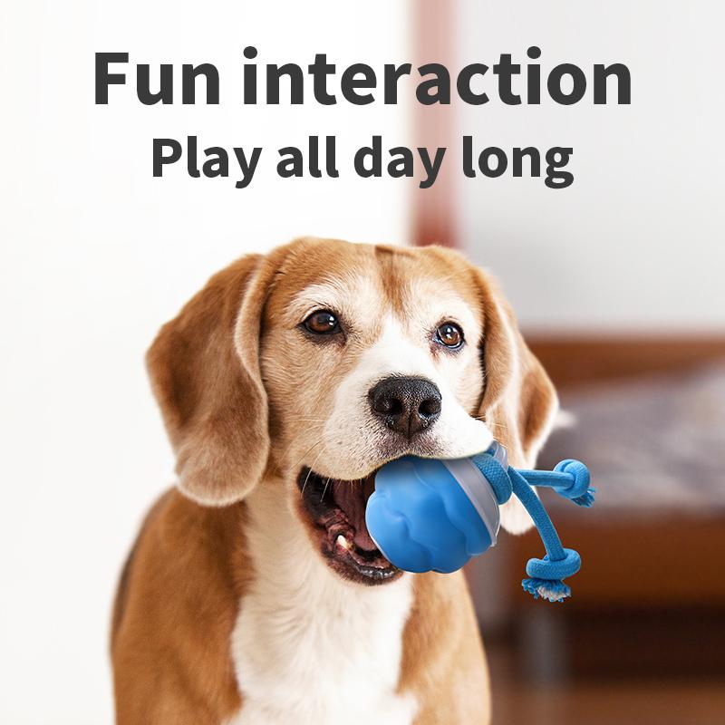 Smart Dog Toy, Interactive Chew, 1 Box USB Rechargeable Bite Resistant Dog Toy, Self Entertaining Toy for Dogs to Relieve Boredom, Dog Walking Toy