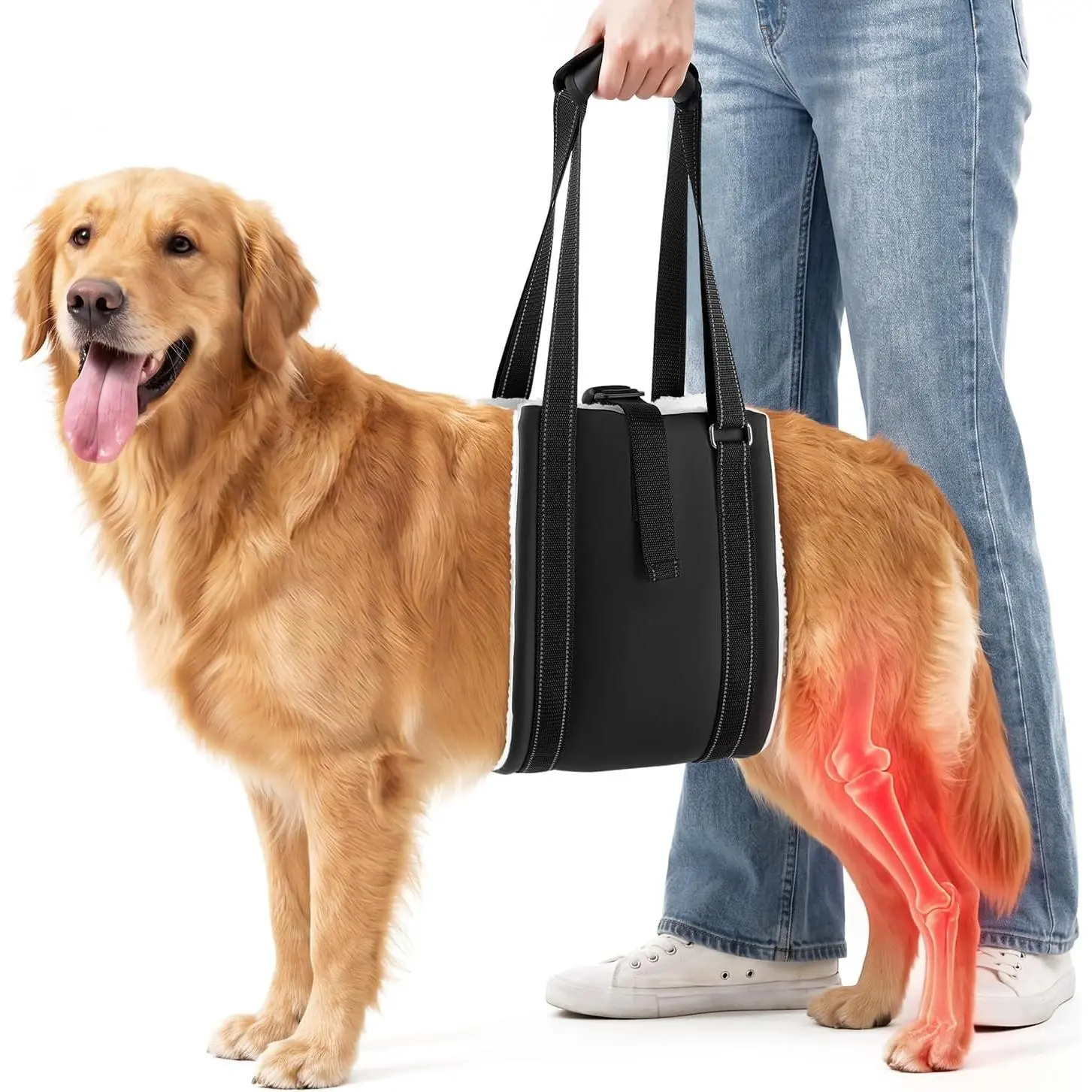Dog Lift Harness for Rear Legs, Adjustable Dog Support Harness for Large Dogs, Soft Hip Sling for Senior, Disabled & Injured Dogs, Hind Leg Mobility Aid After ACL CCL TPLO Surgery