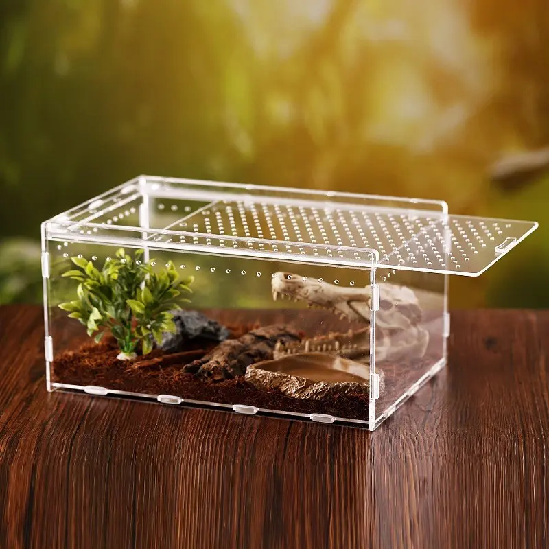 Acrylic Reptile Terrarium, High Transparency Pet Enclosure, Spider Assassin Bug Gecko Corn Snake Habitat, Decorative Vivarium