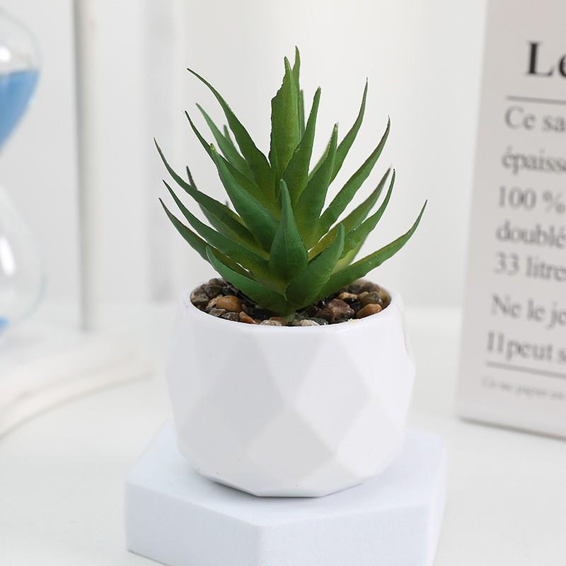 Desktop Decoration, Realistic Mini Succulent Plant, Indoor Decorative Fake Flower, Desktop Ornament, Artificial Succulent Pottery