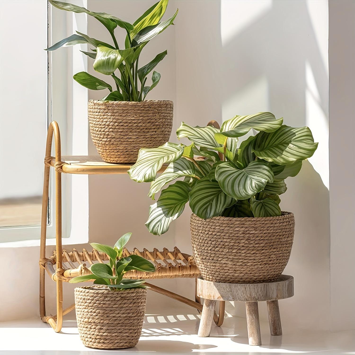 3 Pack Handwoven Seagrass Plant Baskets with Artificial Moss Lining, Breathable Flower Planter Pots, Lightweight Storage Baskets for Succulents, Herbs and Various Potted Plants, Stylish Decor for Indoor and Outdoor Garden Layout