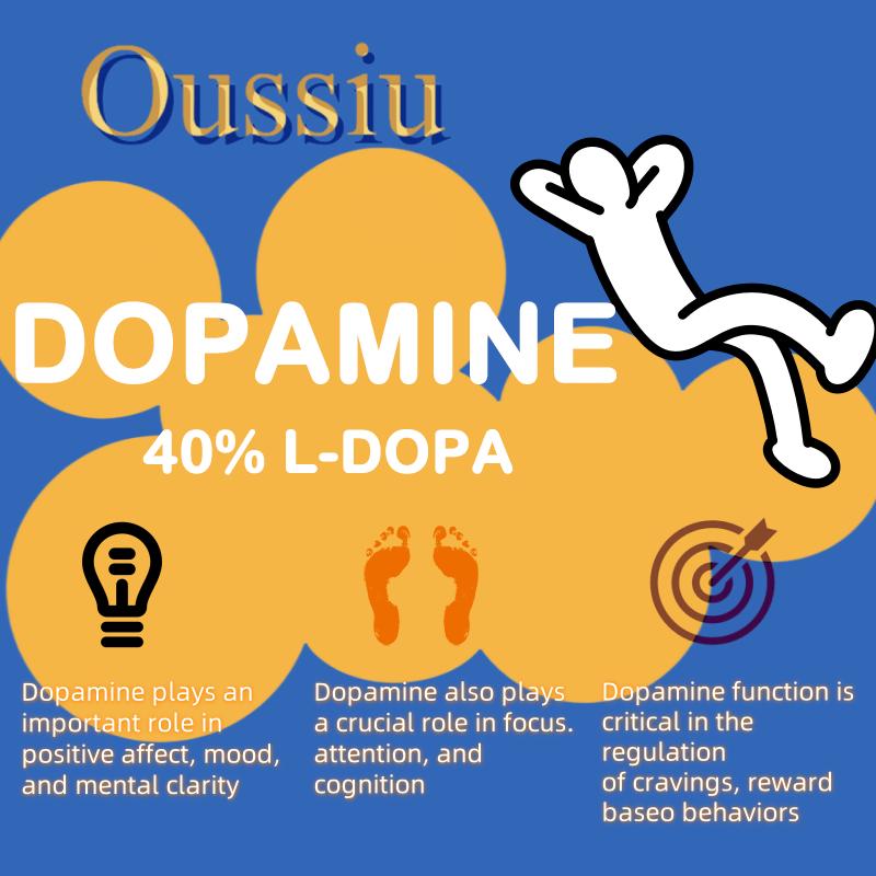 Oussiu Dopamine Supplements for Women & Men 60 Capsules Dietary supplement Contains 200mg Mucuna Pruriens Extract(40% L-DOPA) Easy to swallow