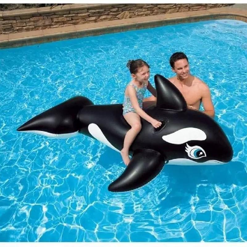 1pc Shark Water Float, Large Inflatable Shark Swim Ring, Waterproof Seat, Summer Pool Accessory, Perfect for Photoshoots