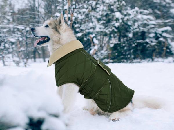 Kuoser Dog Coat, Super-Warm Dog Jacket Windproof Dog Cold Weather Coats for Extra Large Dogs, Fleece Lining Turtleneck Dog Snowsuit Reflective Adjustable Dog Winter Clothes