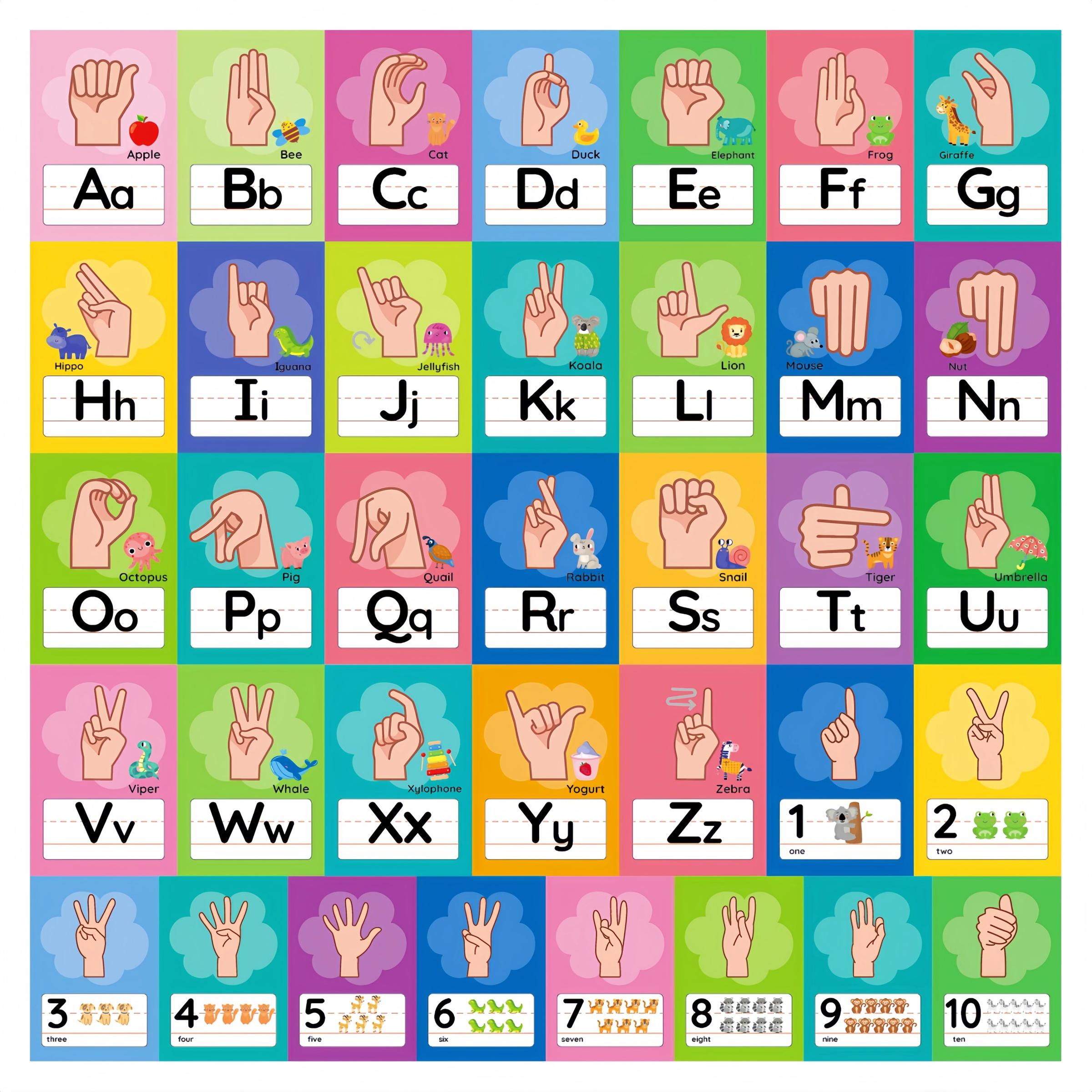 36 Pcs Asl Alphabet & Number Sign Language Teaching Aids, Visual ...