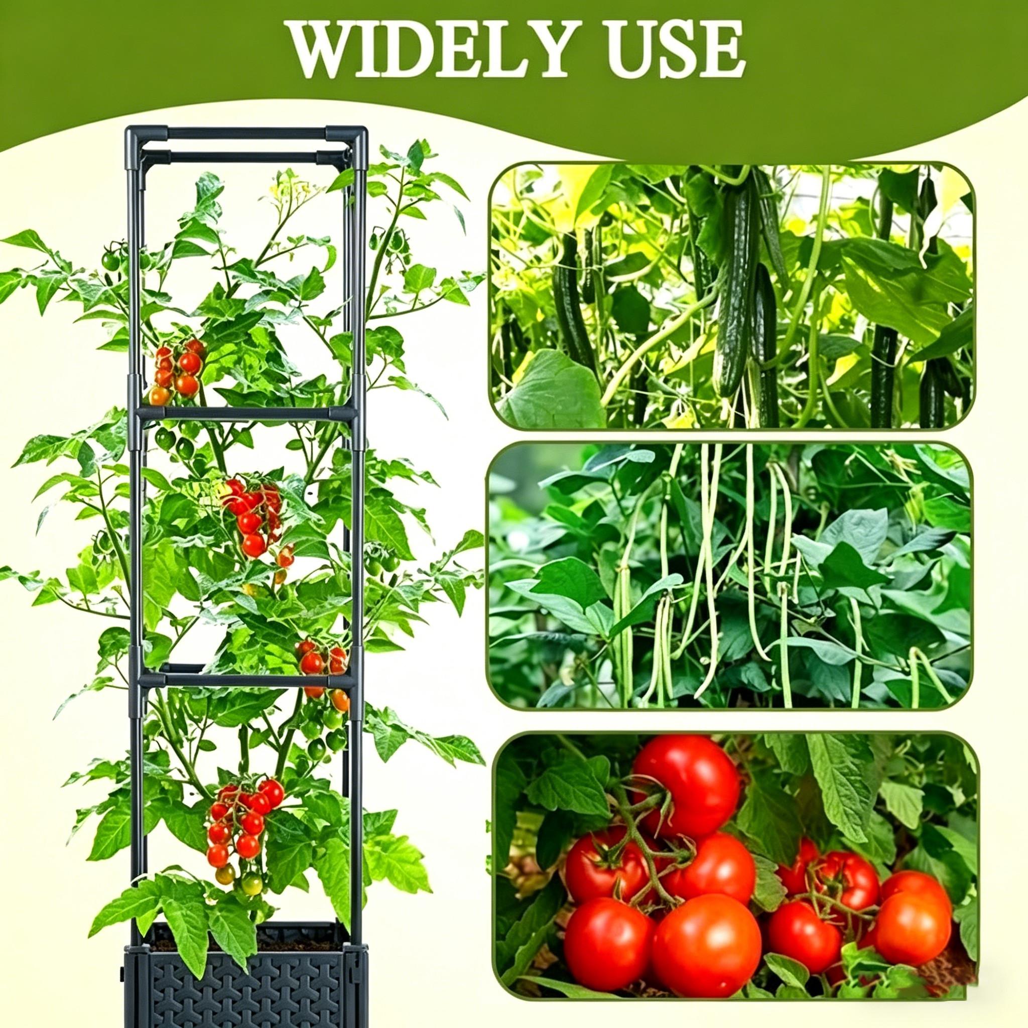 Elevated Garden Bed Planter Box, Self-Watering Tomato Planter, Indoor Climbing Vegetable Plant Pot, Outdoor Tomato Cage