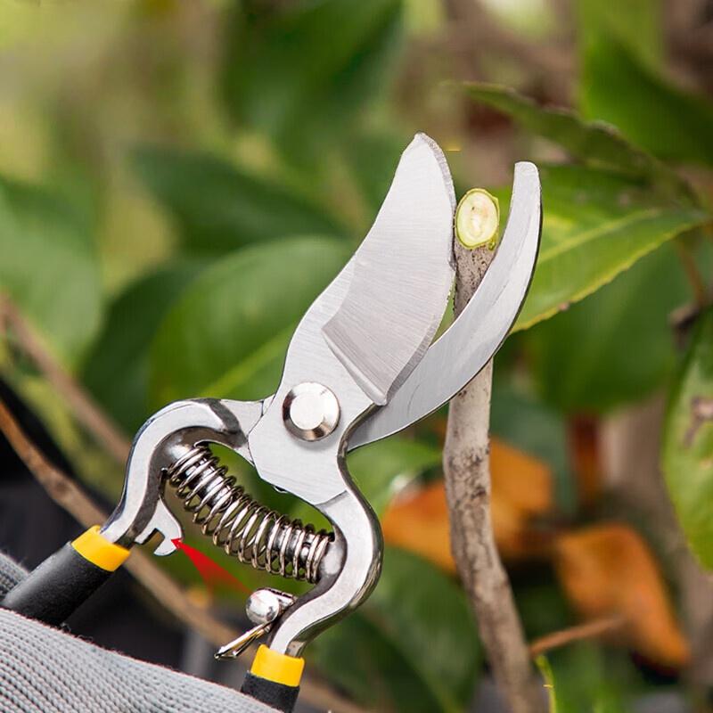 Garden pruning shears, heavy-duty garden shears, branch pruning, gardening manual tools, plant shears, yard maintenance, flower shears, shrub trimmers Cutting