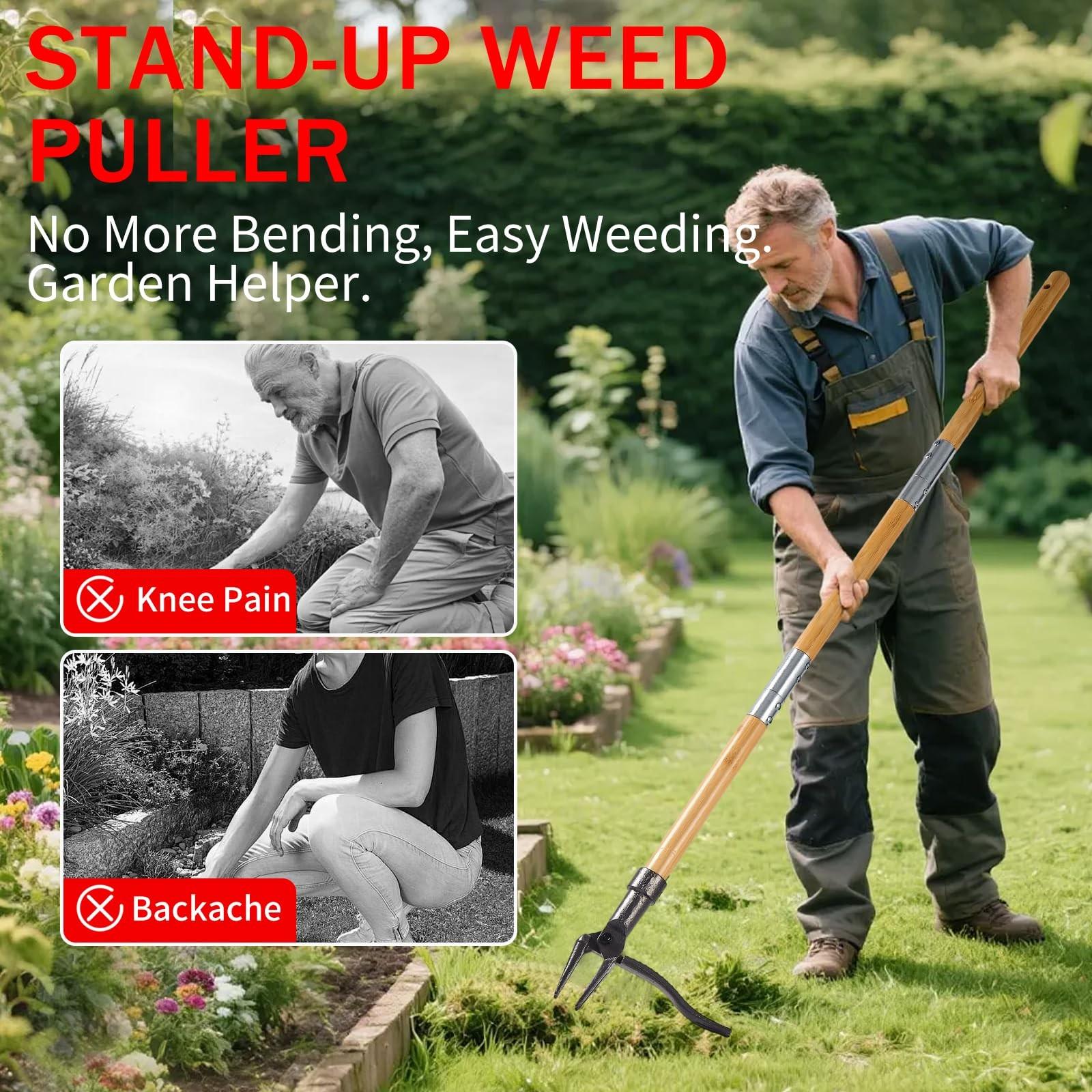 LIVOPRO New Stand-Up Weeding Tool with 4-Claw Steel Head & Long Handle, Manual Weed Puller Removes Weeds & Roots, No Bending or Kneeling Required for Garden, Lawn & Outdoor Use