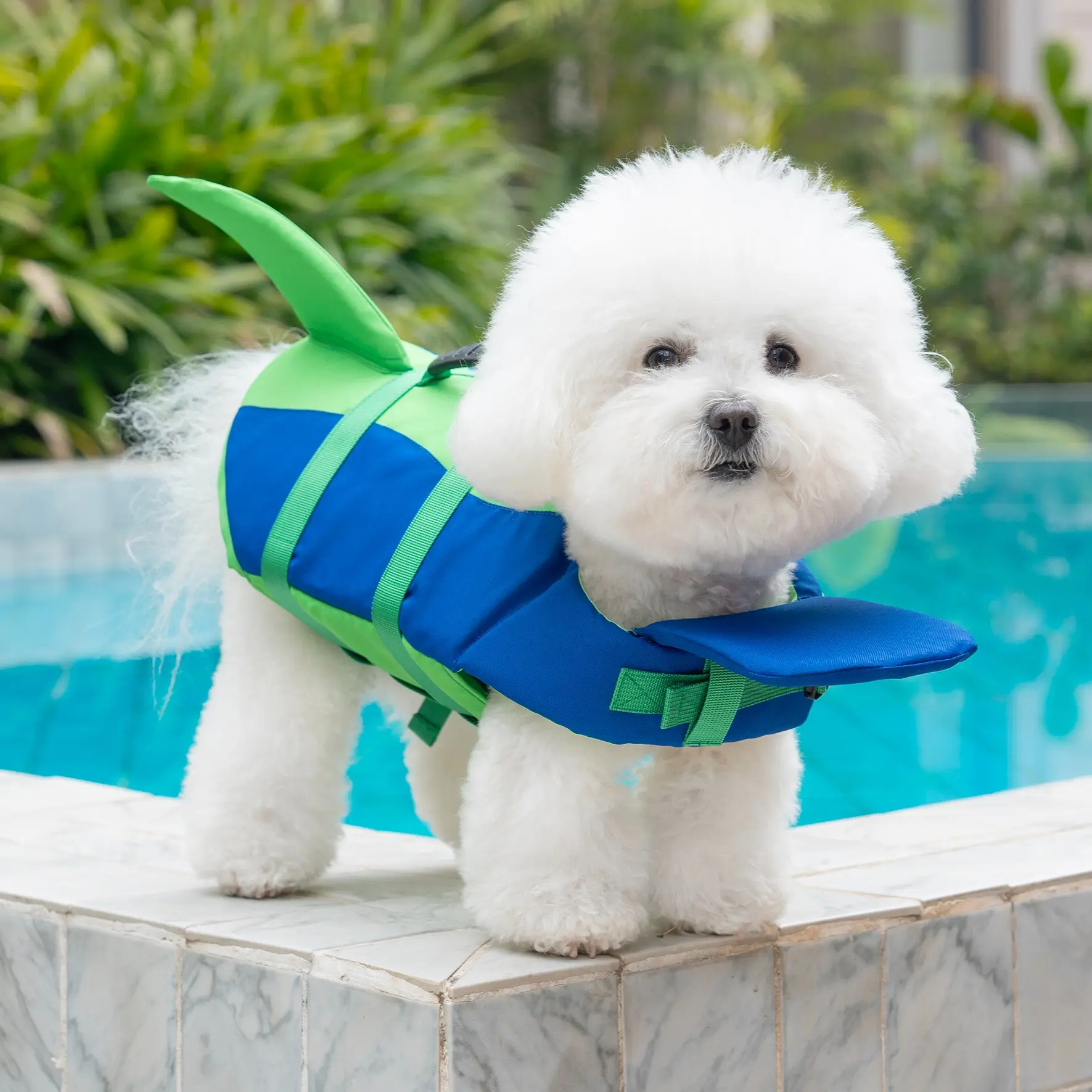 Dog clothing, animal clothing, big dog swimming suit, big dog life jacket, Outdoor, small and large pets can wear small animal swimming suit, handheld trial, big dog clothing, small dog diving suit, life jacket, British style clothing #GLOBAL PICKS