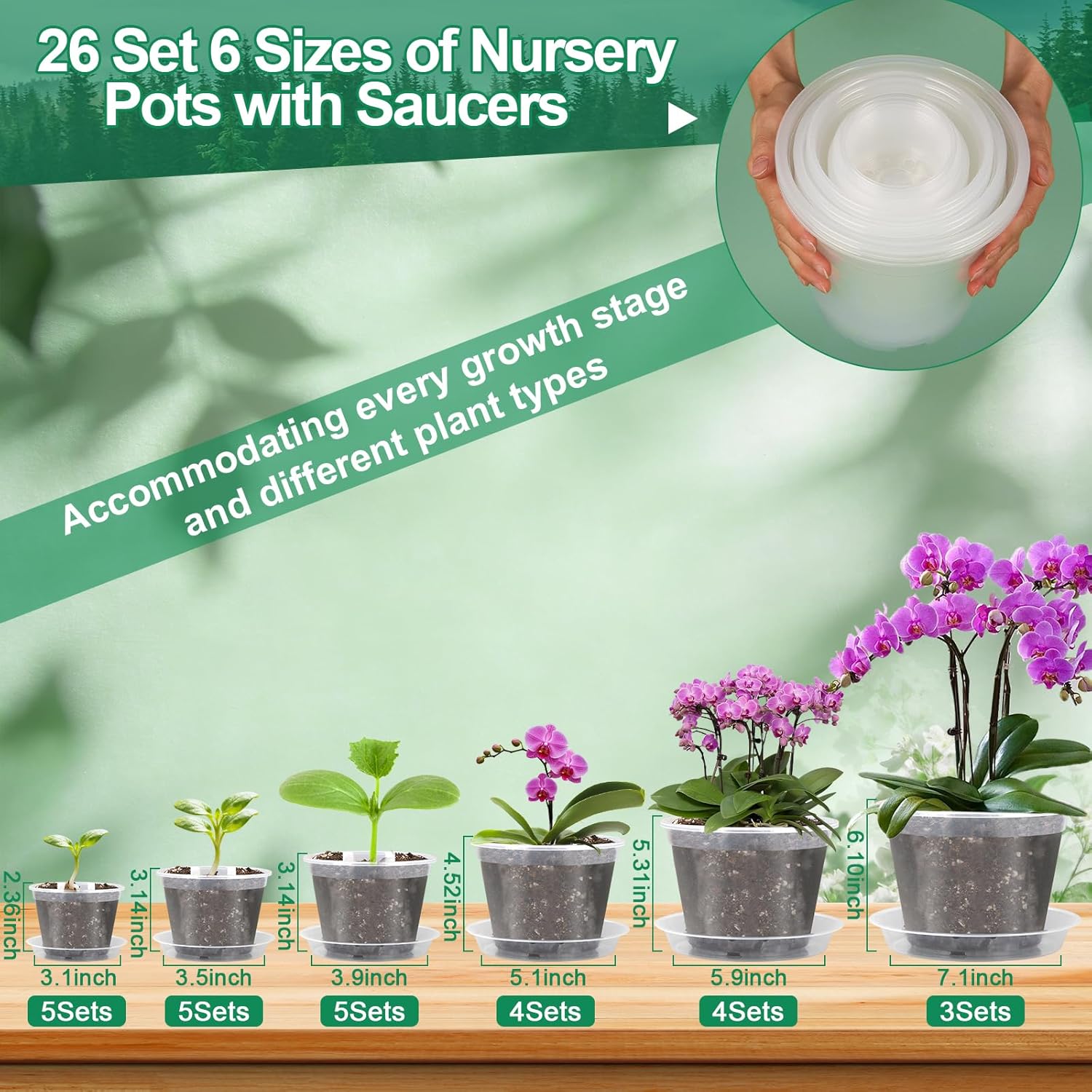 26 Pack Clear Plastic  Pot for  with Saucers, 2 Garden Tools and 30 Labels, Variety Clear  Planter with Drainage Holes for Indoor Outdoor (3.1/3.5/3.9/5.1/5.9/7.1 inch)