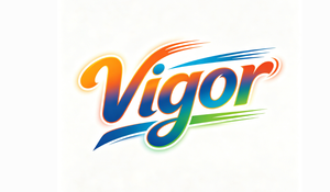 VigorRoam