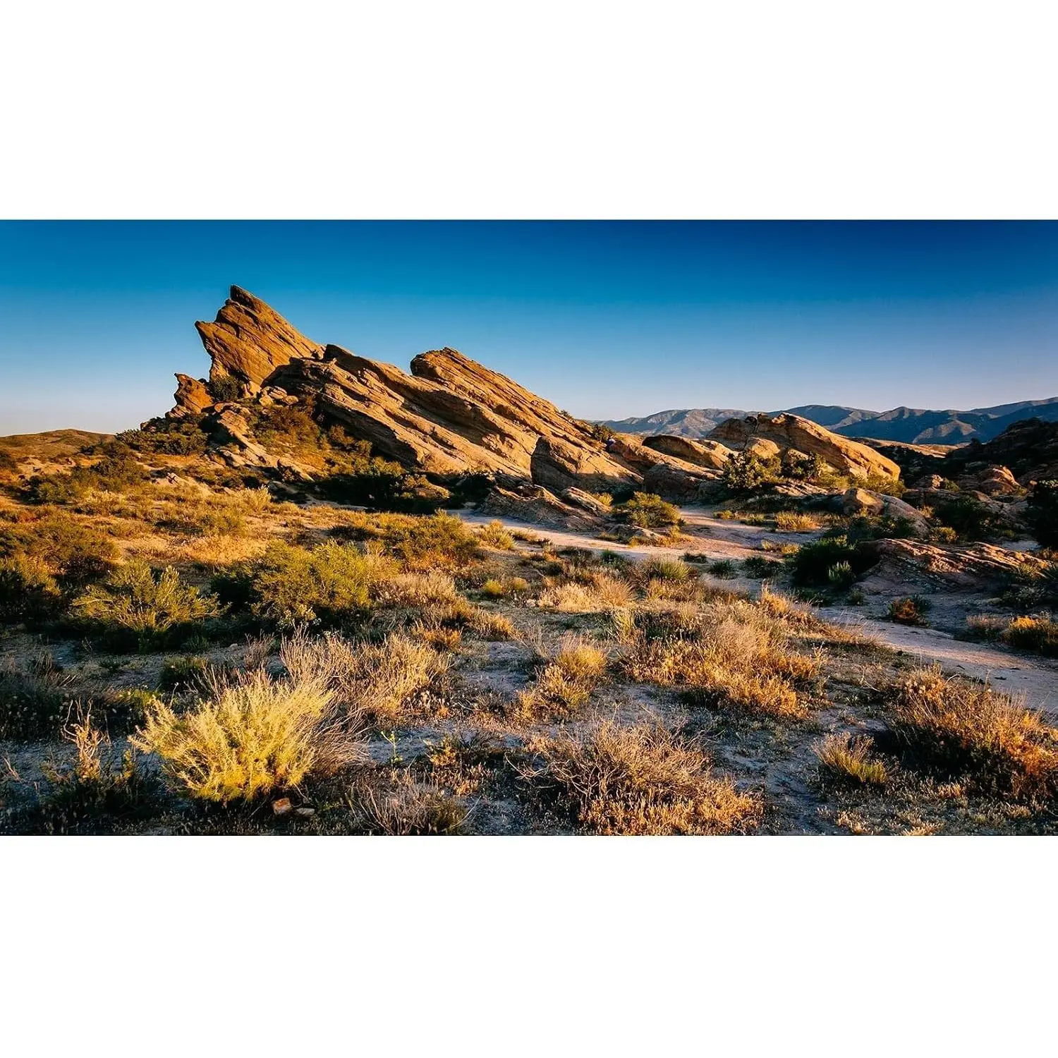 Gobi Gold