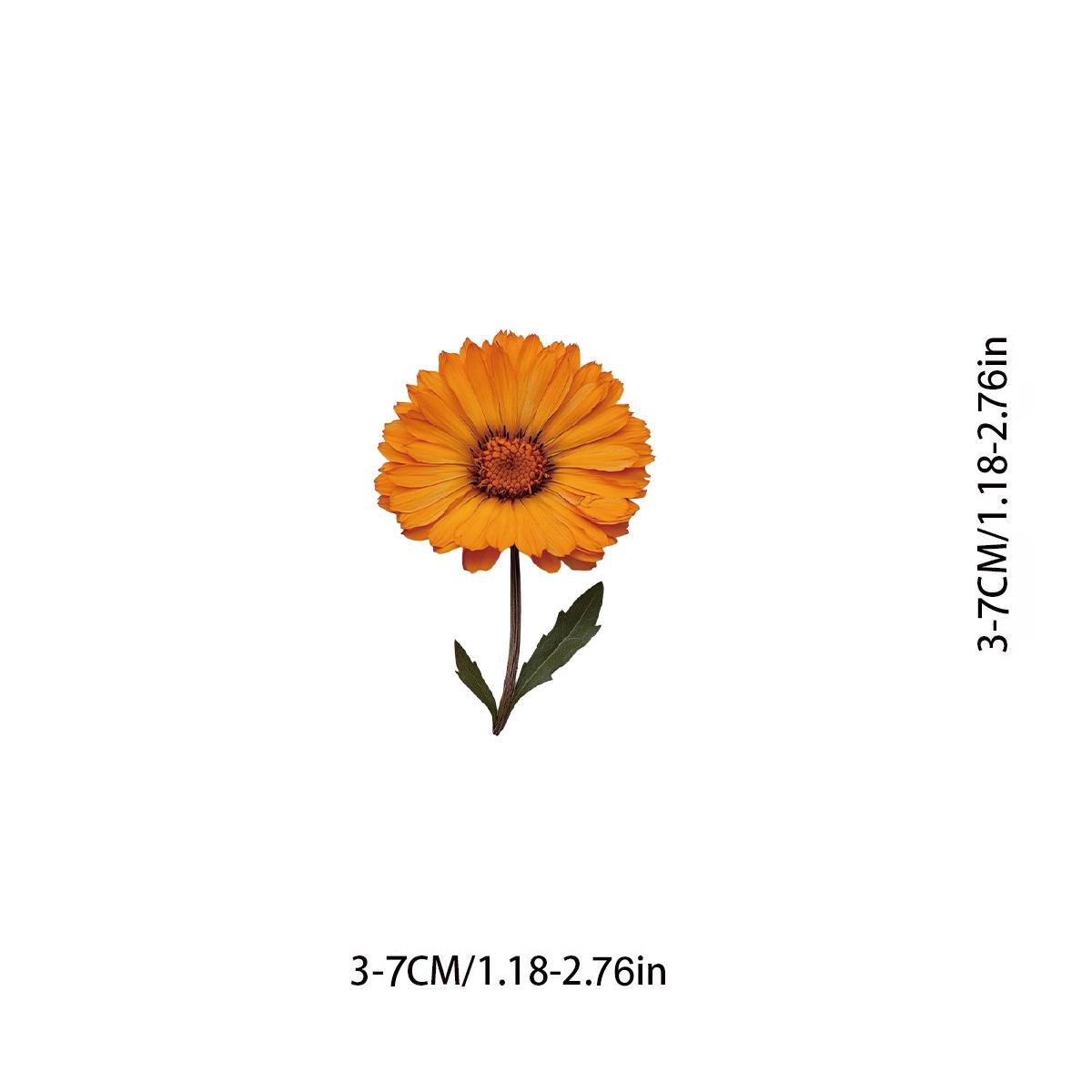 50-Piece Plant Stickers for Scrapbooking, Journaling & Crafting – Realistic Botanical Leaves, Ferns, and Tropical Plants, Self-Adhesive Decorative Stickers