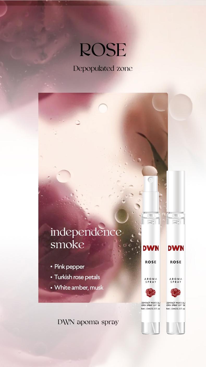 High-End Secret Perfume Set 10 X 10ML, Luxury Fragrances, Perfect Gift for Perfume Lovers, Perfume Sampler Set for Beginners