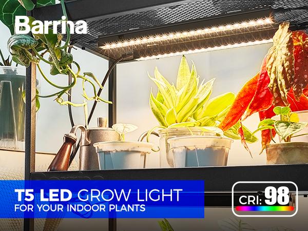 Barrina T5 Grow Lights with Black Cover, 1FT 10W (2 X 5W) with Magnetic Design, Full Spectrum, Plug and Play, Linkable, Yellow, 2 Packs Barrina T5 Grow Lights with Black Cover, 1FT 10W (2 X 5W) with Magnetic Design, Full Spectrum, Plug and Play, Linkable, Yellow, 2 Packs