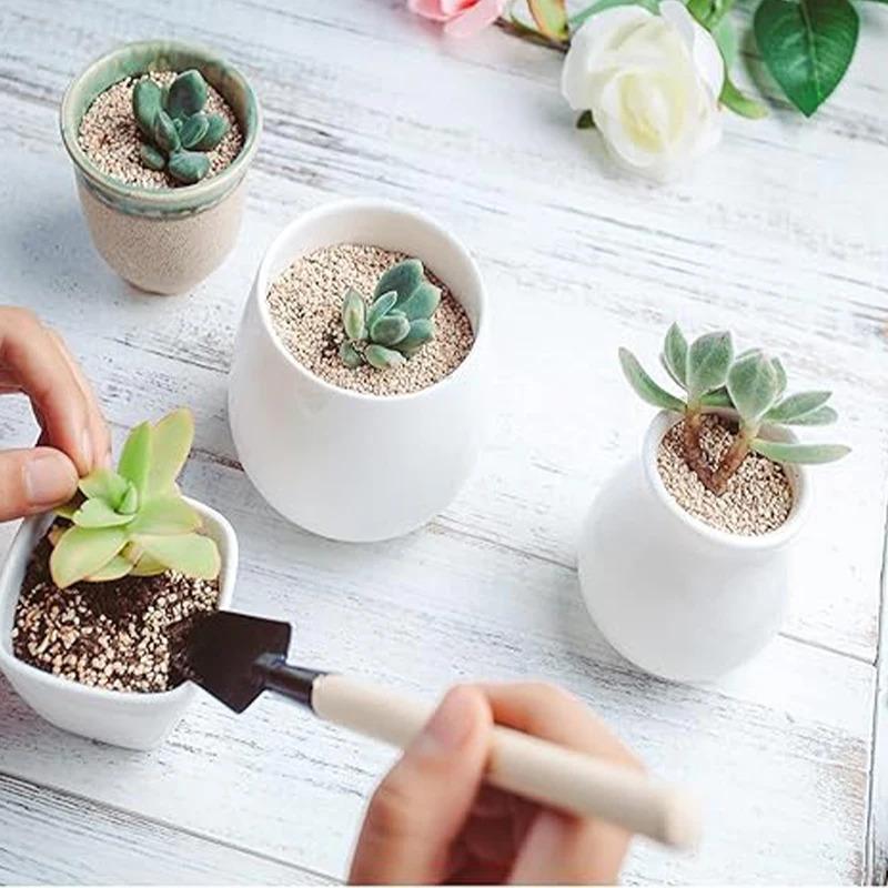 Mini Gardening Tools Set, 3-Piece Succulent Gardening Tool Set,  Stainless Steel Mini Shovel, for Succulents, Plants, Outdoor.