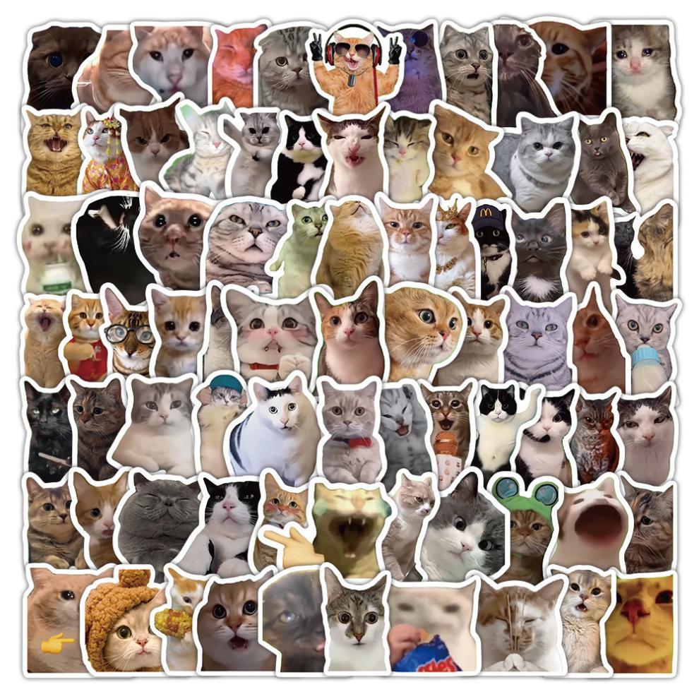 300 cat meme stickers, cute and funny quirky cat Instagram-style emoji and meme images