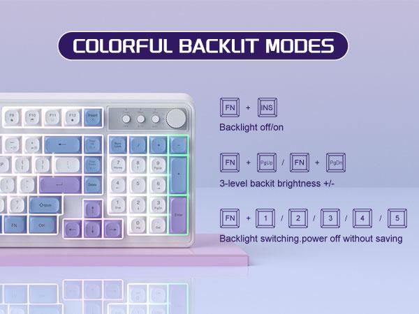 MageGee Wireless Gaming Keyboard and Mouse Combo V560, RGB Backlit Rechargeable Mechanical Feel Keyboard 2.4GHz Quiet Blue White Purple Keyboard Mouse for Mac Laptop PC Gamer