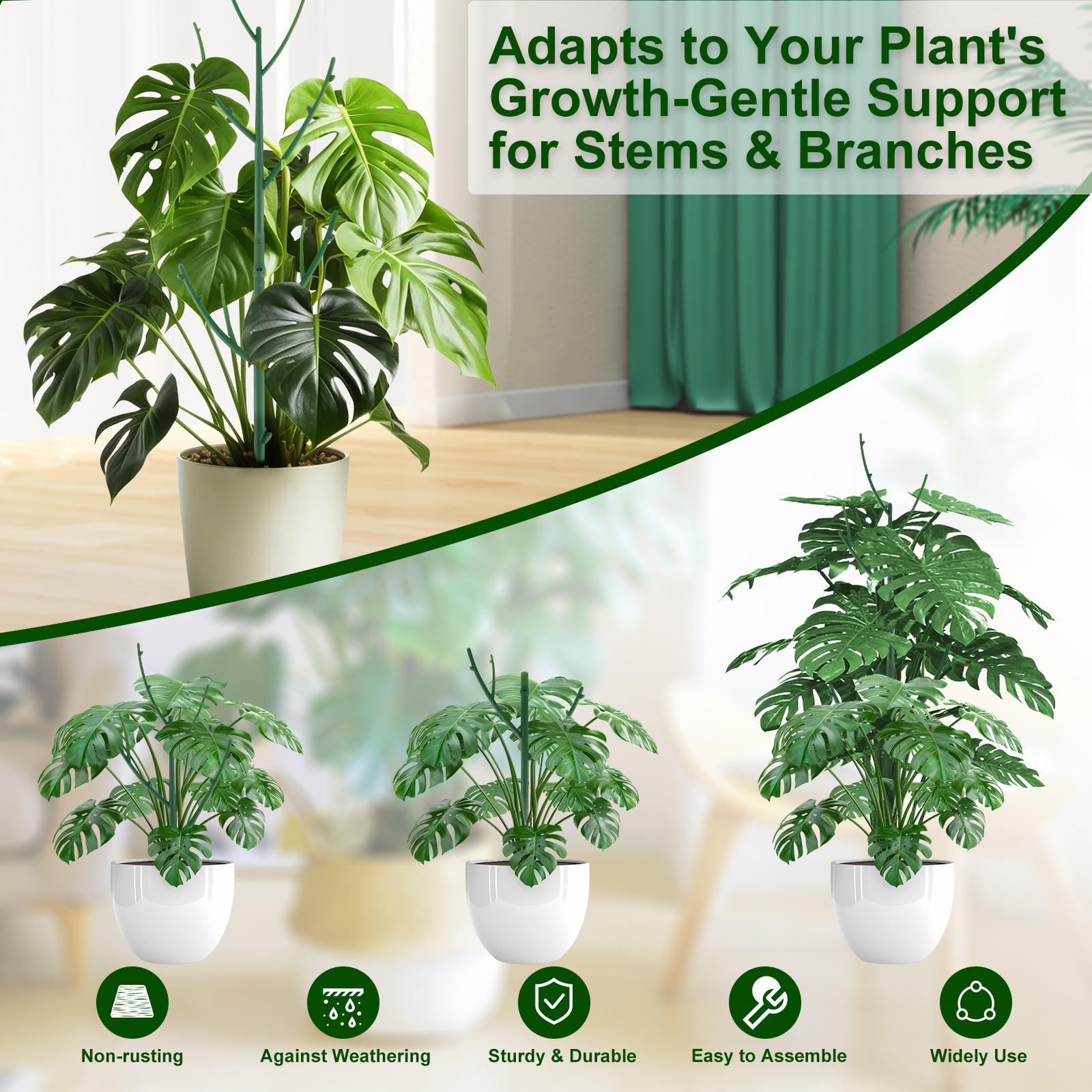 5 Pack Stackable Monstera Plant Support Stakes for Indoor & Outdoor Plants, Garden Accessories for Climbing & Potted Plants, Plant Sticks for Vine Training & Stem Stabilization