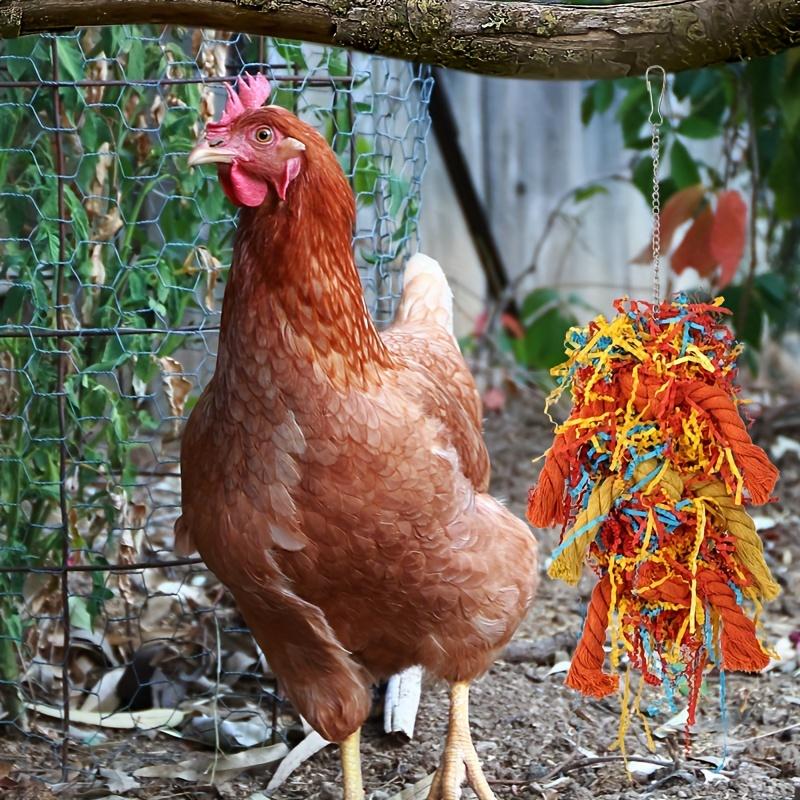 Random Color Chicken Swing & Feeder Net, Chicken Swing & Feeder Net Wood Bird Grinding Teeth Toy, Farm Animal & Poultry Supplies